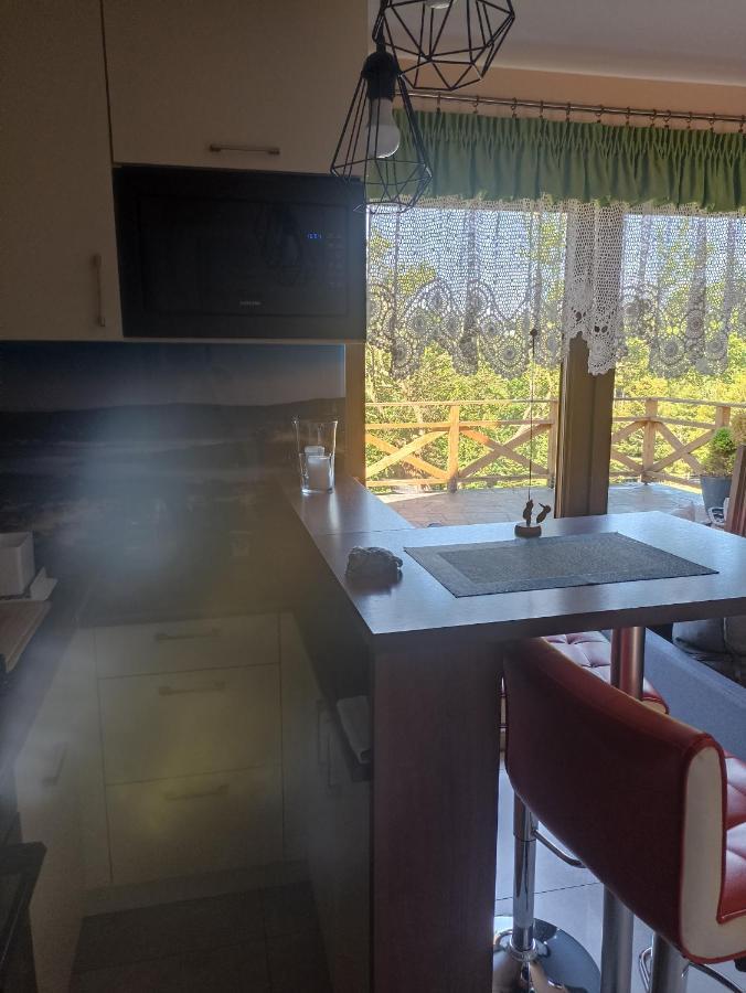 Holiday home Na Polance Istebna